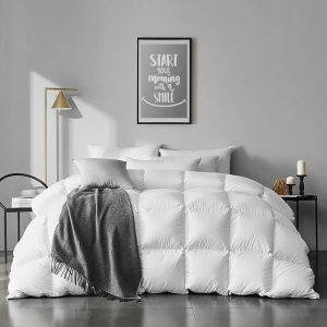 Couette en duvet légère APSMILE 4 Saisons 220x240
